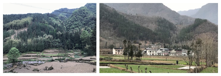 32525581e80b46fc9ce510a0fd0f2436.jpg 退耕还林后拼图发稿.jpg