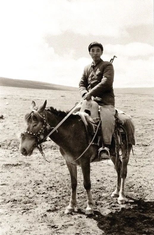 2c95c292873c4eeca26539b98239e601.jpg 2c95c292873c4eeca26539b98239e601.jpg