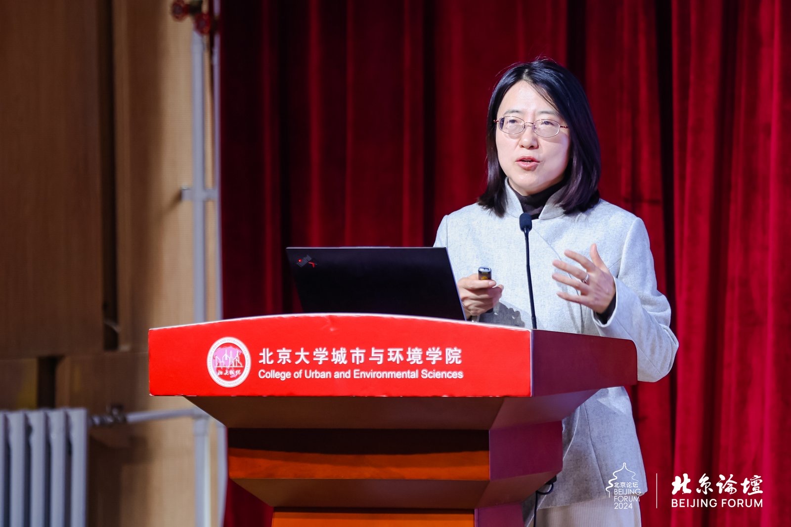 754a525056cc4f00bdf7f8f6a08151c1.jpg 田莉发表演讲.jpg